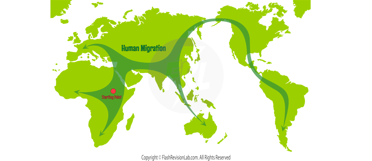 Migration